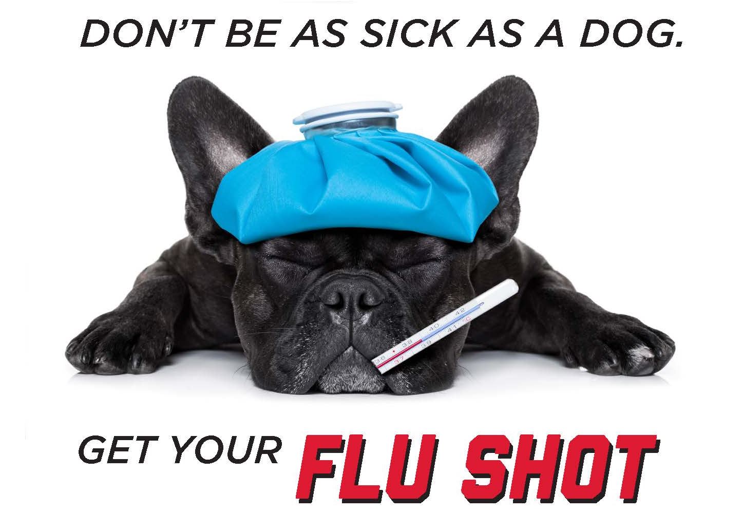 Dont be as sick as a dog, get your flu shot